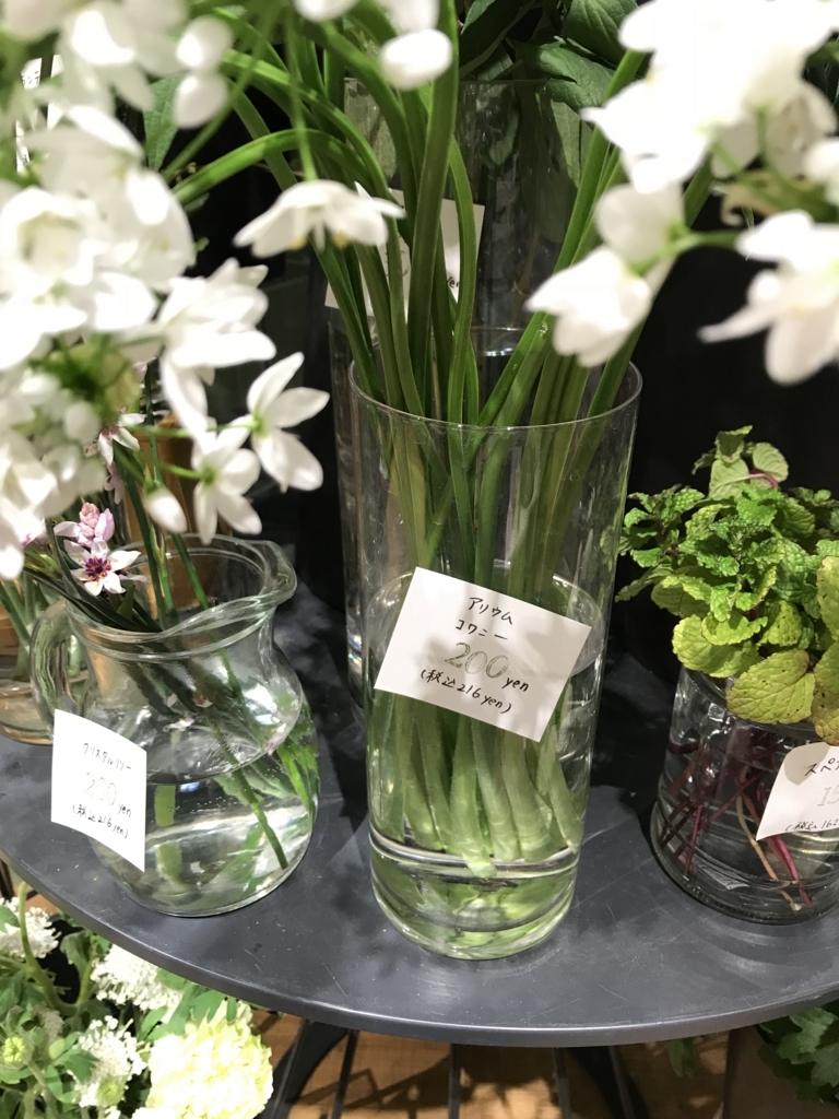 f:id:cameranolouise:20180219231659j:plain f:id:cameranolouise:20180219231659j:plain