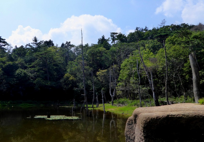 f:id:camesiba604:20190813200604j:plain f:id:camesiba604:20190813200604j:plain