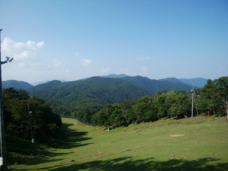 f:id:camesiba604:20190819170345j:plain