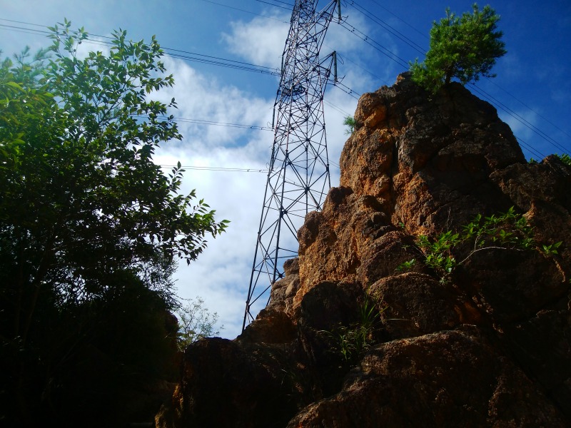 f:id:camesiba604:20190908194933j:plain f:id:camesiba604:20190908194933j:plain