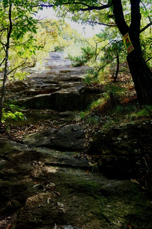 f:id:camesiba604:20191011172955j:plain