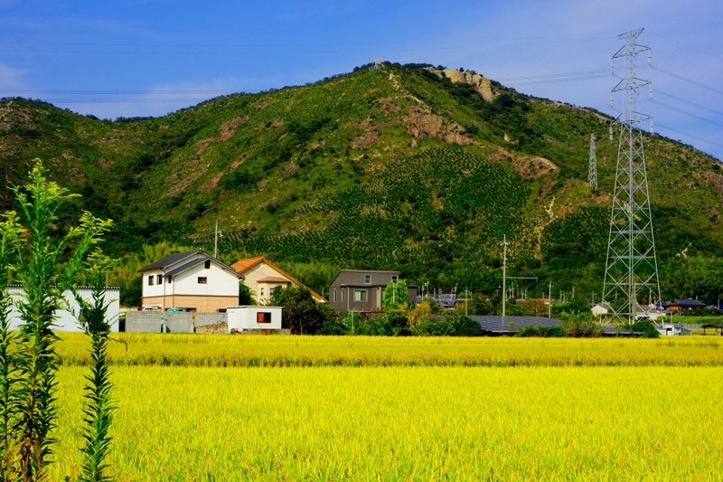 f:id:camesiba604:20191011173036j:plain