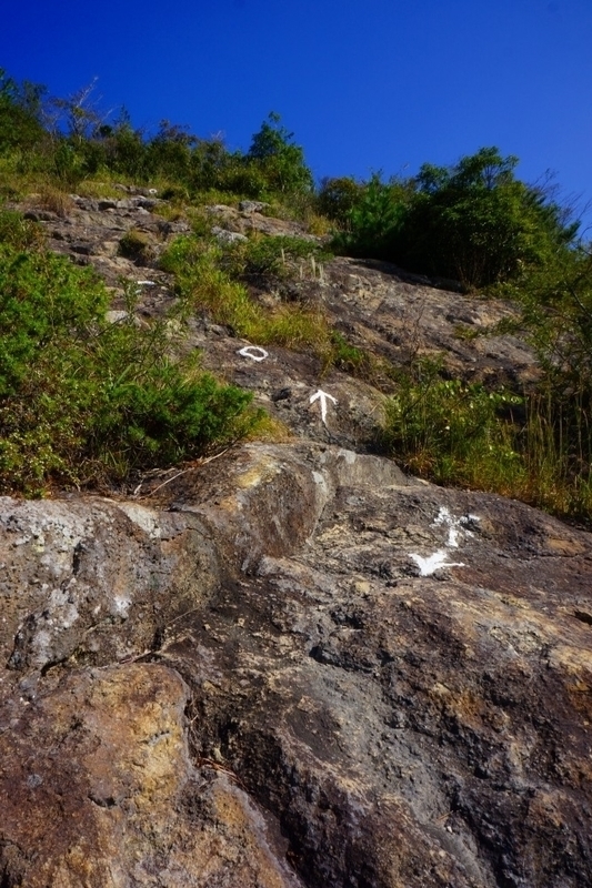 f:id:camesiba604:20191011173730j:plain