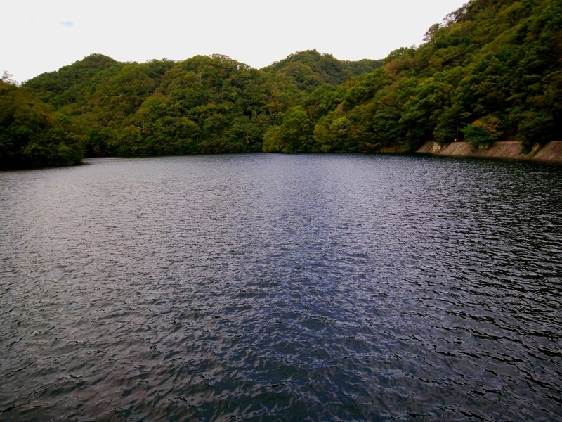 f:id:camesiba604:20191021195723j:plain f:id:camesiba604:20191021195723j:plain