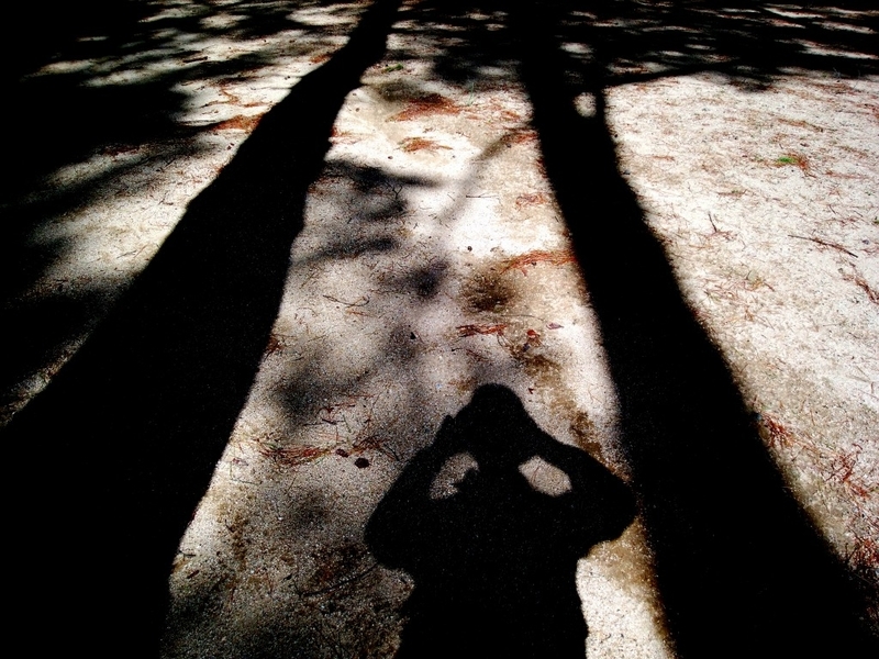 f:id:camesiba604:20191021195739j:plain f:id:camesiba604:20191021195739j:plain