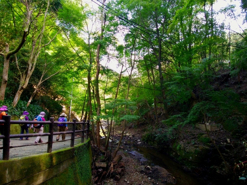 f:id:camesiba604:20191021195750j:plain f:id:camesiba604:20191021195750j:plain