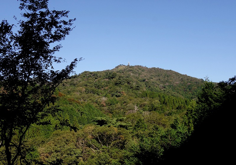 f:id:camesiba604:20201030170946j:plain