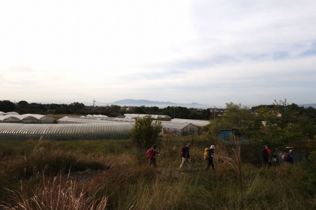 f:id:camesiba604:20201105203347j:plain