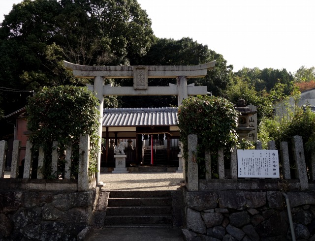 f:id:camesiba604:20201105203359j:plain