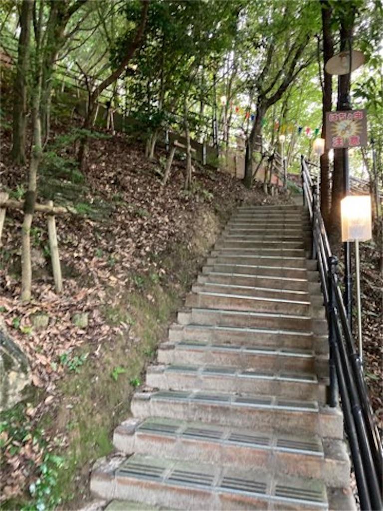 f:id:camiin_nihonichi:20210814141445j:image f:id:camiin_nihonichi:20210814141445j:image