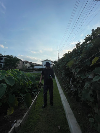 f:id:camin:20210923160732j:plain