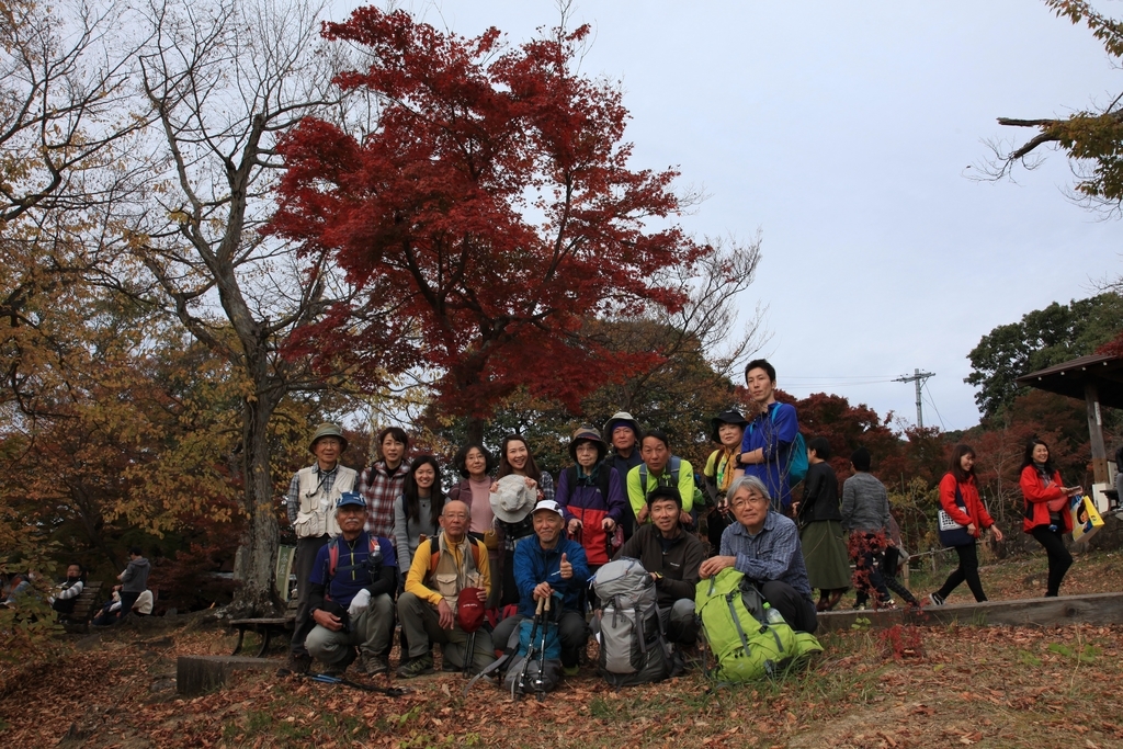 f:id:camino-tokai:20181122214856j:plain f:id:camino-tokai:20181122214856j:plain