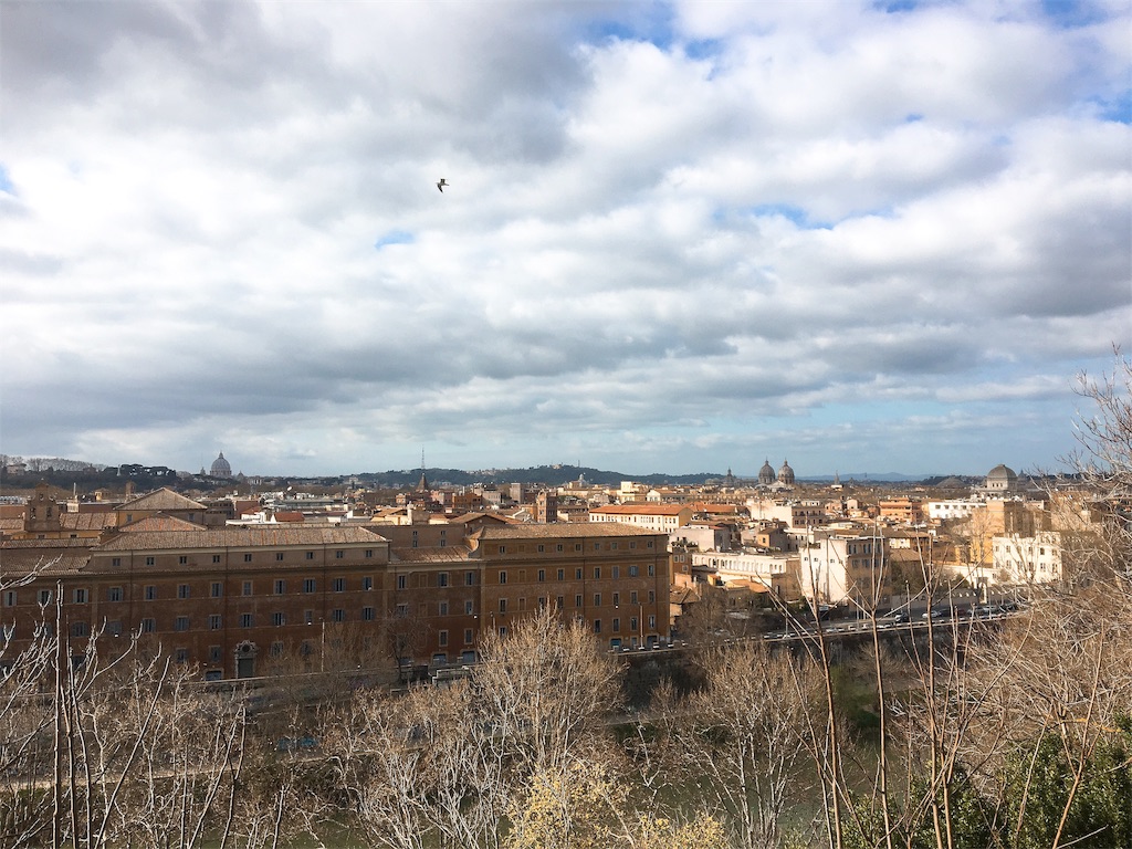 f:id:caminoblog:20190319214025j:image