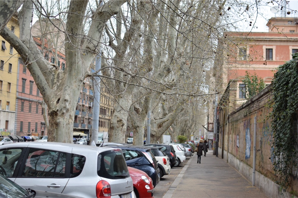 f:id:caminoblog:20190320001654j:image