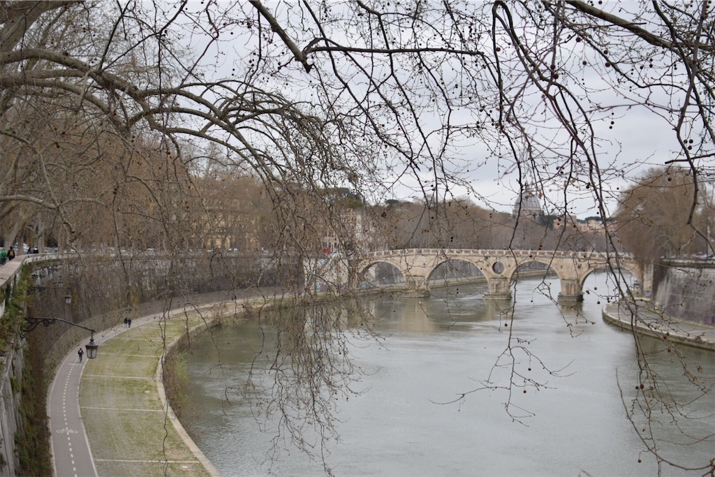 f:id:caminoblog:20190320152817j:image