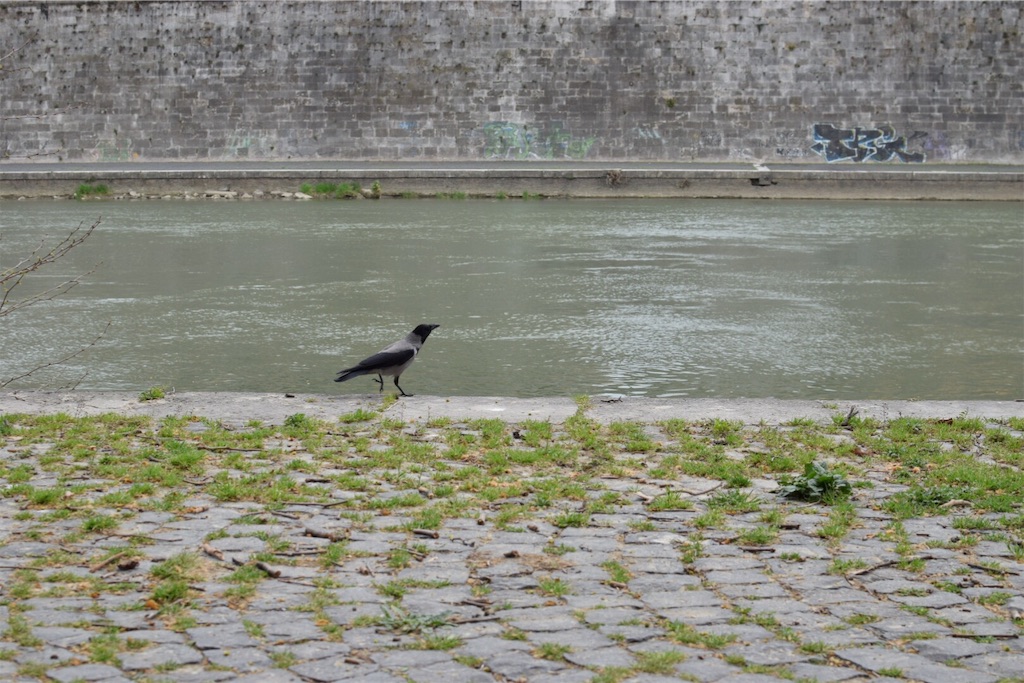 f:id:caminoblog:20190320152828j:image