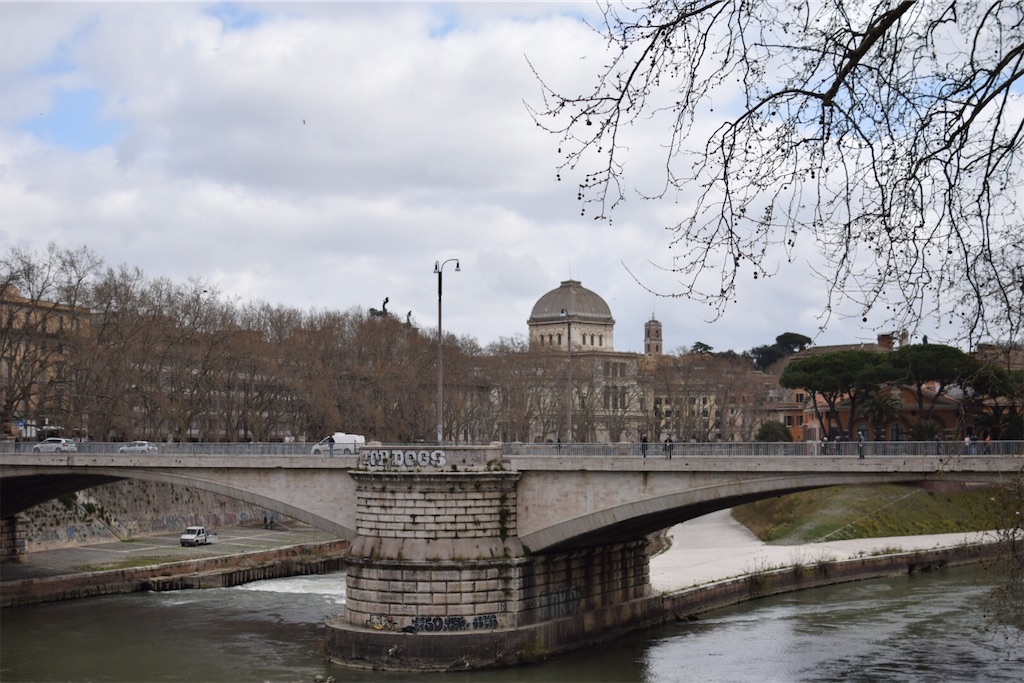 f:id:caminoblog:20190320152834j:image