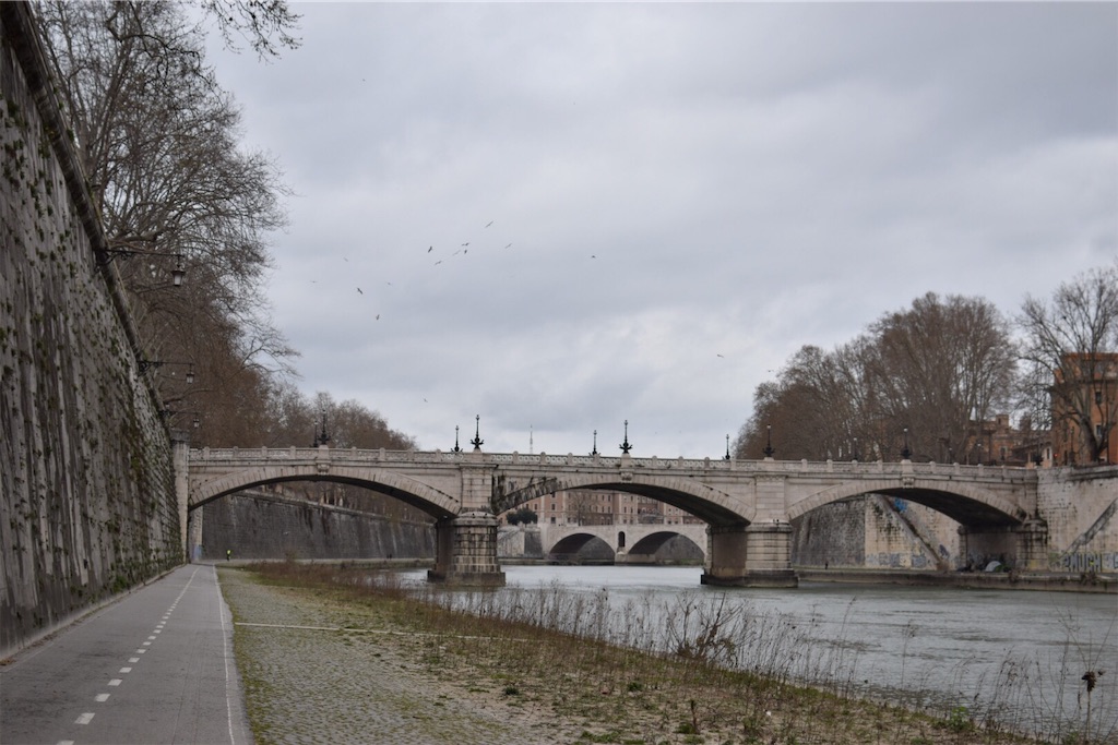 f:id:caminoblog:20190320152855j:image