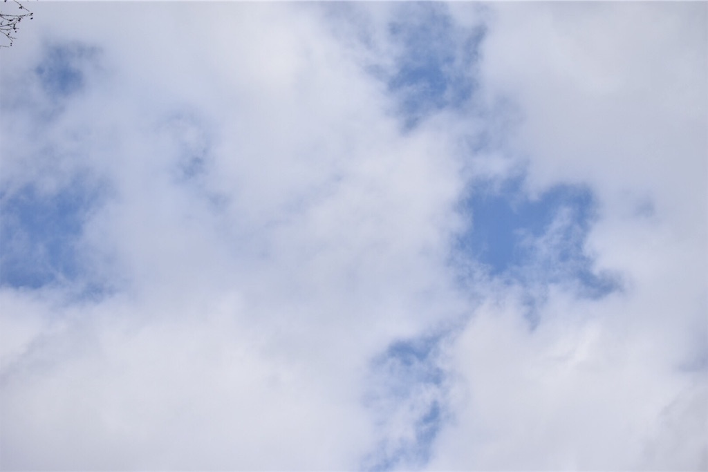 f:id:caminoblog:20190320152859j:image