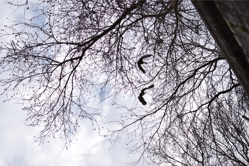 f:id:caminoblog:20190320152903j:image