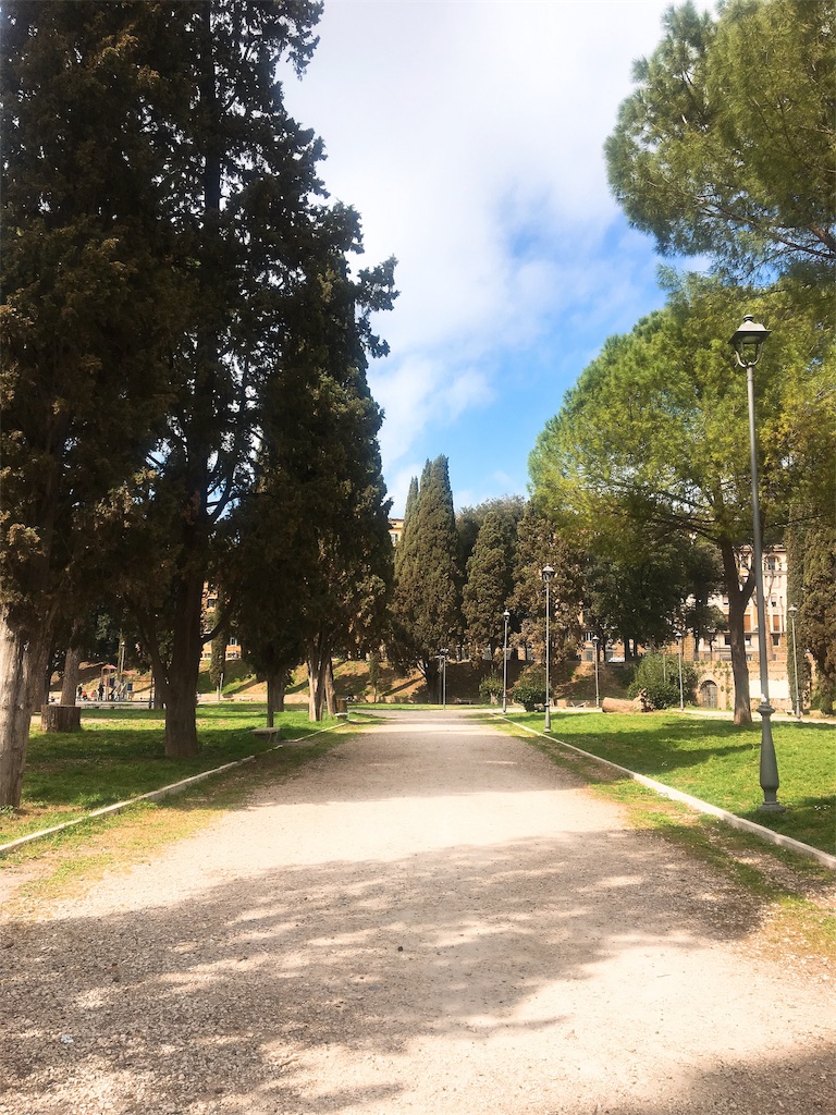 f:id:caminoblog:20190320154537j:image