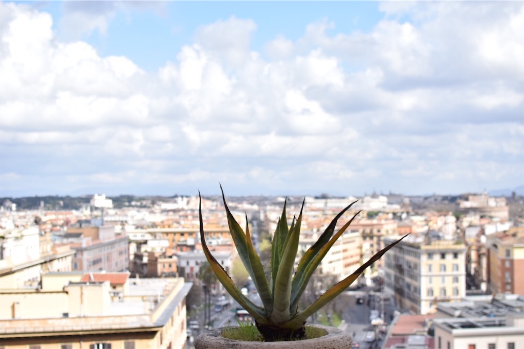 f:id:caminoblog:20190321165112j:image