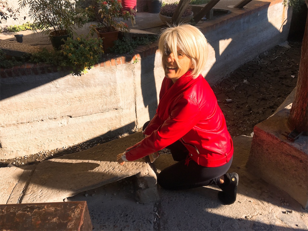 f:id:caminoblog:20190324050928j:image