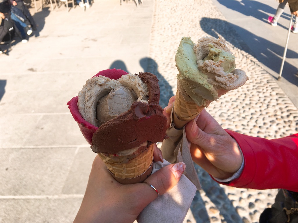 f:id:caminoblog:20190324050932j:image