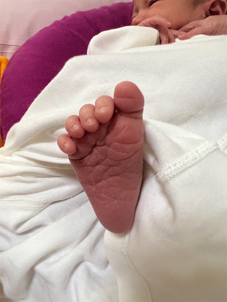 f:id:camiu96:20230226012406j:image f:id:camiu96:20230226012406j:image