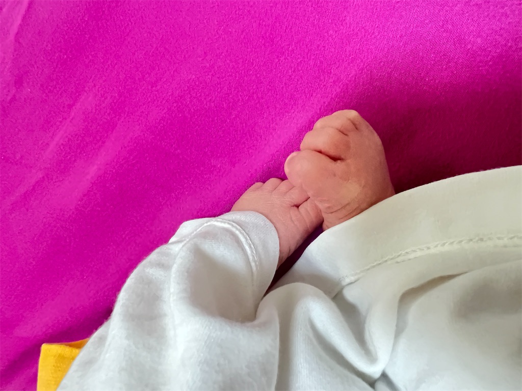 f:id:camiu96:20230226014103j:image f:id:camiu96:20230226014103j:image