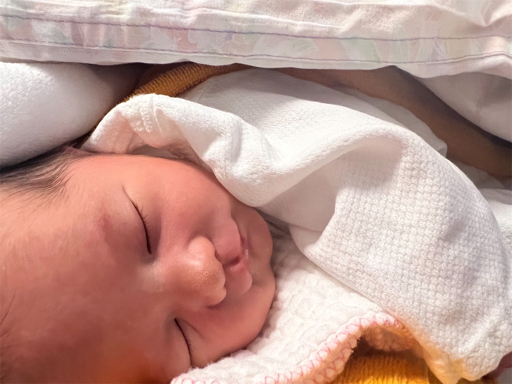 f:id:camiu96:20230226014432j:image f:id:camiu96:20230226014432j:image