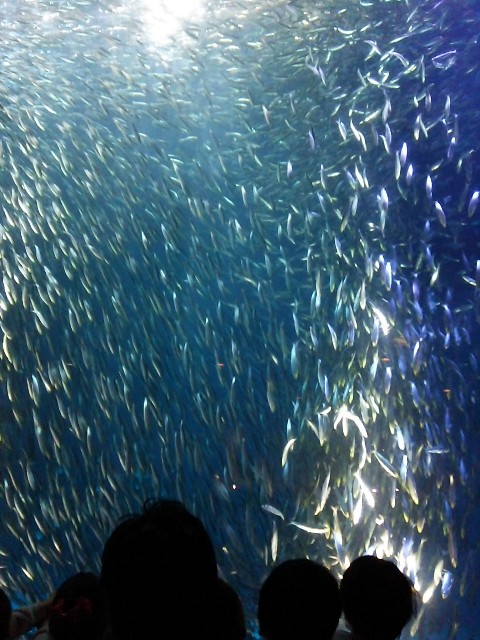 f:id:camonvietnam:20200610211815j:image