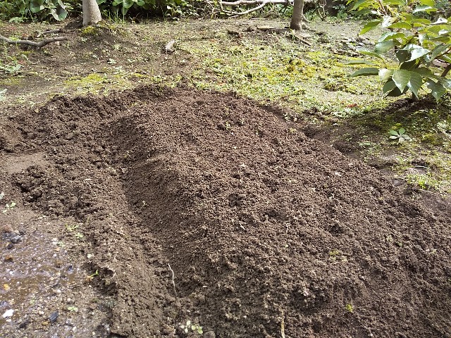 f:id:camonvietnam:20200912223324j:image f:id:camonvietnam:20200912223324j:image