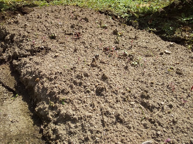 f:id:camonvietnam:20200913085835j:image f:id:camonvietnam:20200913085835j:image