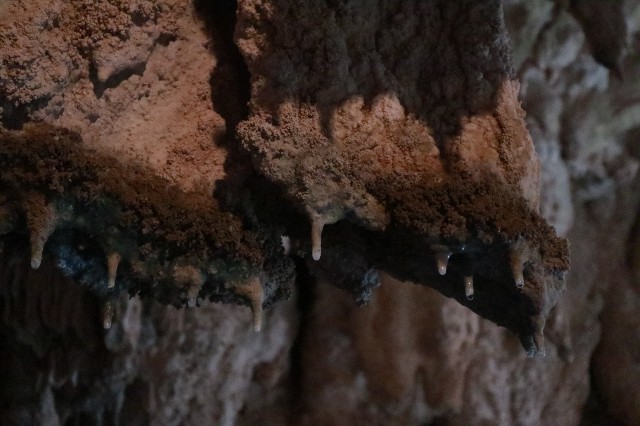 f:id:camonvietnam:20201126080829j:image