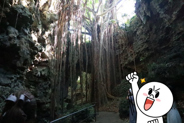 f:id:camonvietnam:20201126081207j:image