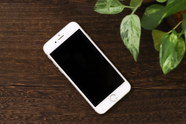 f:id:camonvietnam:20210227213702j:plain