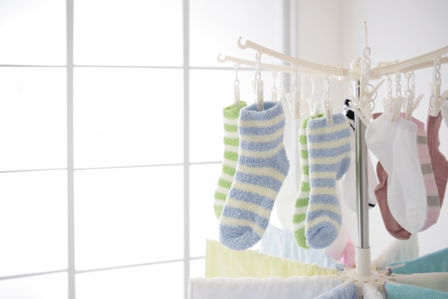 f:id:camonvietnam:20210613141611j:plain