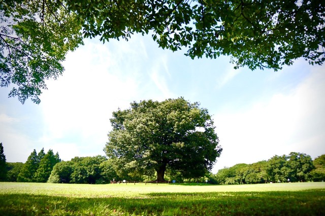 f:id:camonvietnam:20210705230554j:image f:id:camonvietnam:20210705230554j:image