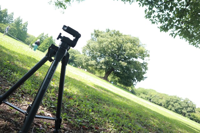 f:id:camonvietnam:20210708121457j:image f:id:camonvietnam:20210708121457j:image