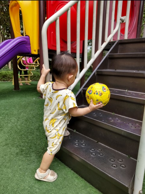 f:id:camonvietnam:20240224223051j:image