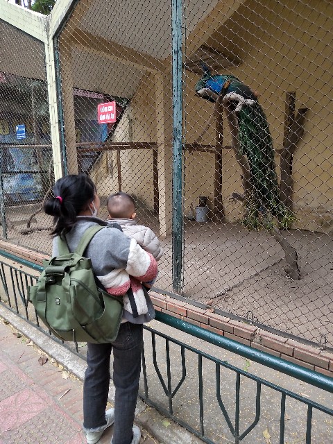 f:id:camonvietnam:20250520073533j:image