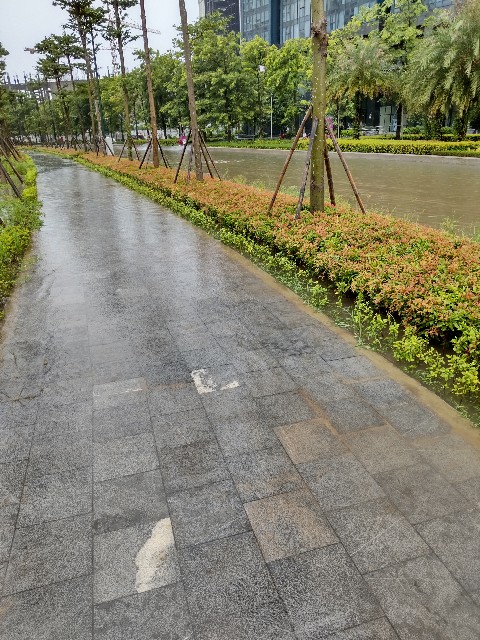 f:id:camonvietnam:20250601085931j:image