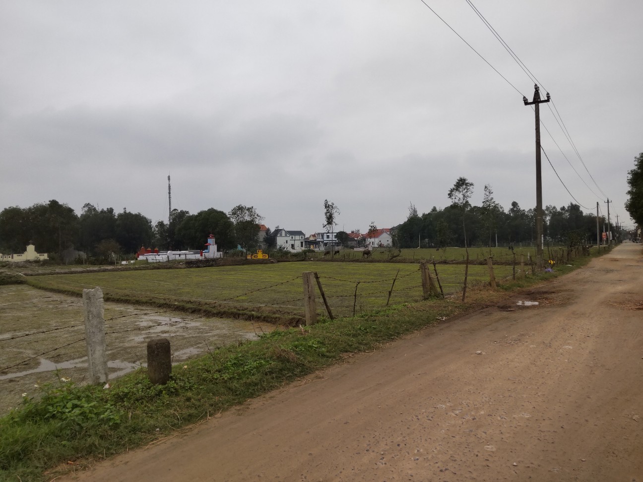 f:id:camonvietnam:20251204202447j:image