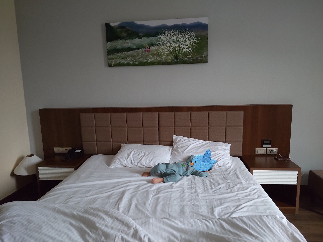 f:id:camonvietnam:20260214102216j:image f:id:camonvietnam:20260214102216j:image