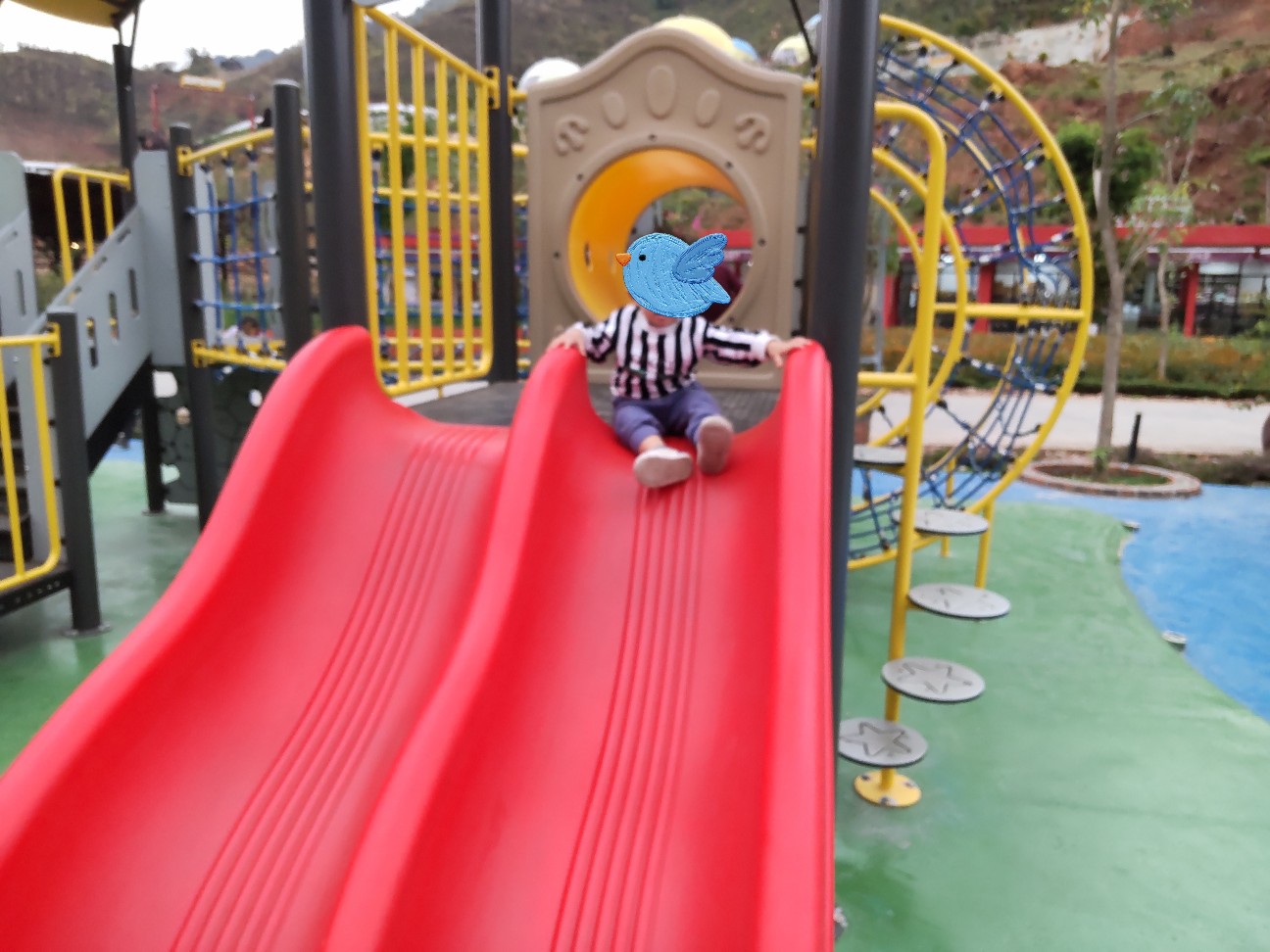 f:id:camonvietnam:20260220103148j:image