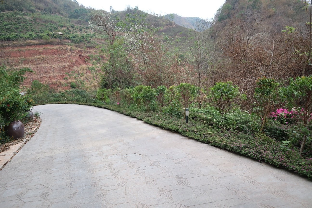f:id:camonvietnam:20260221080039j:image
