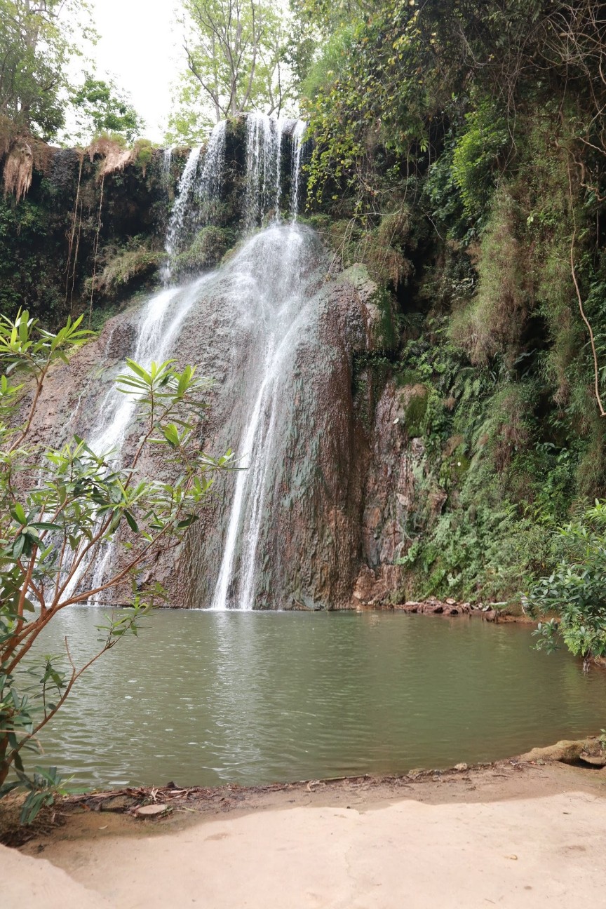 f:id:camonvietnam:20260225161937j:image