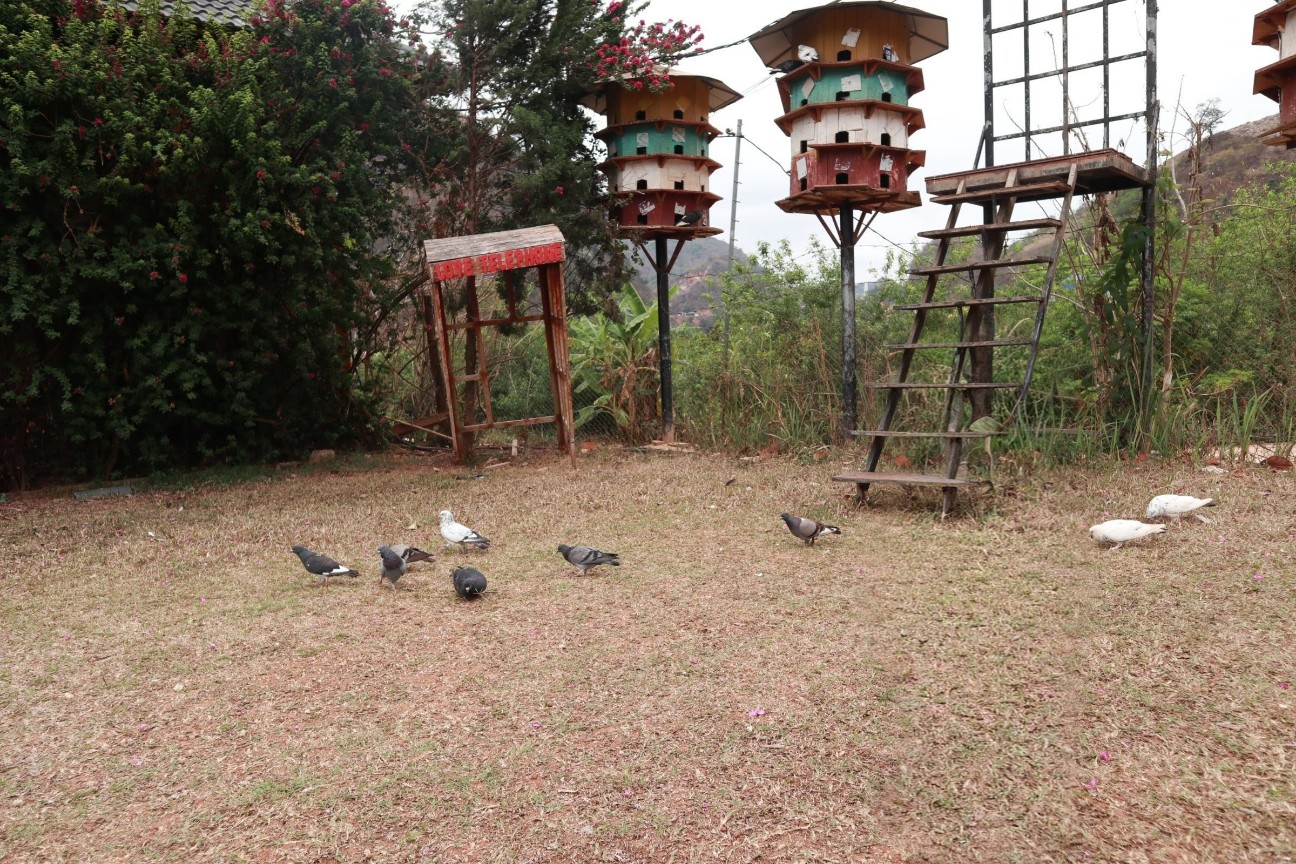 f:id:camonvietnam:20260405103059j:image