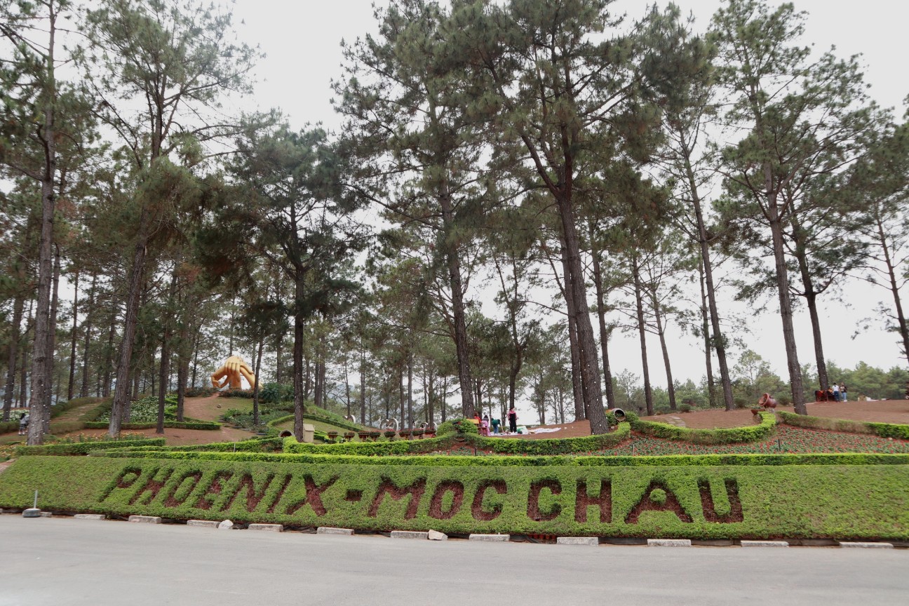 f:id:camonvietnam:20260405103907j:image